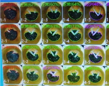 花炮生產(chǎn)視覺檢測儀之火藥檢測